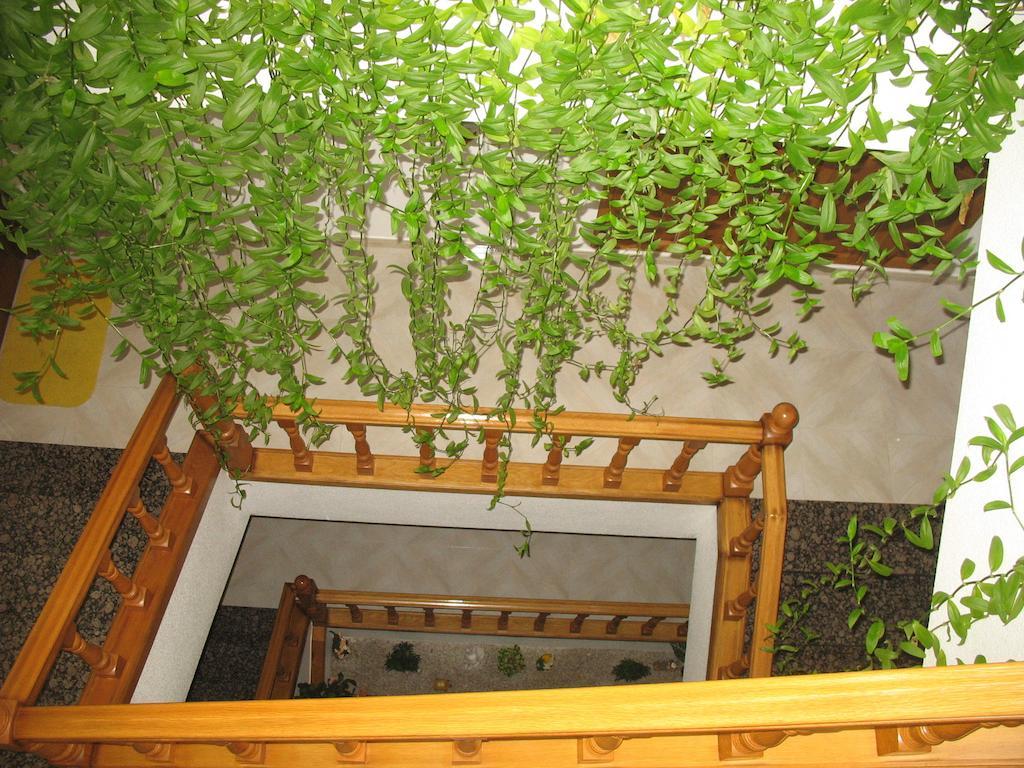 Hotel A Veiga ساموس المظهر الخارجي الصورة